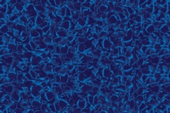 Electric Aquarius