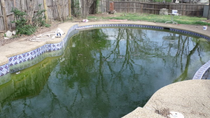 Swampy pool clean up - Zagers Blog