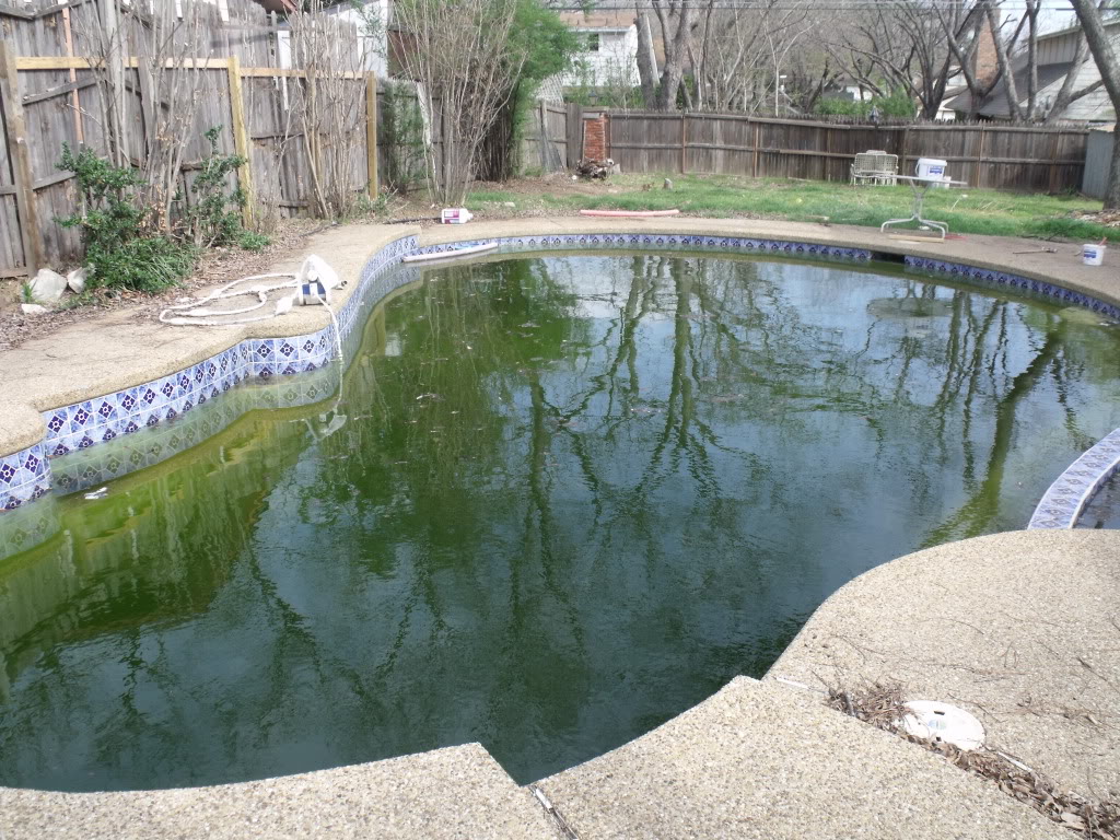 Swampy pool clean up - Zagers Blog