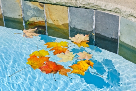 Winterizing Protect Your Pool