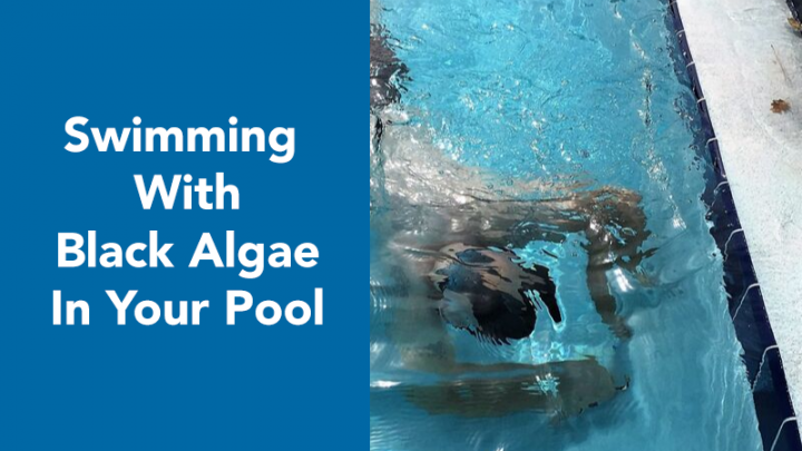 Robotic Pool Cleaner Buyer's Guide - In The Swim Pool Blog