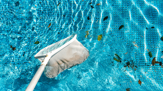 Pool net cleaning leaves out of blue pool water.